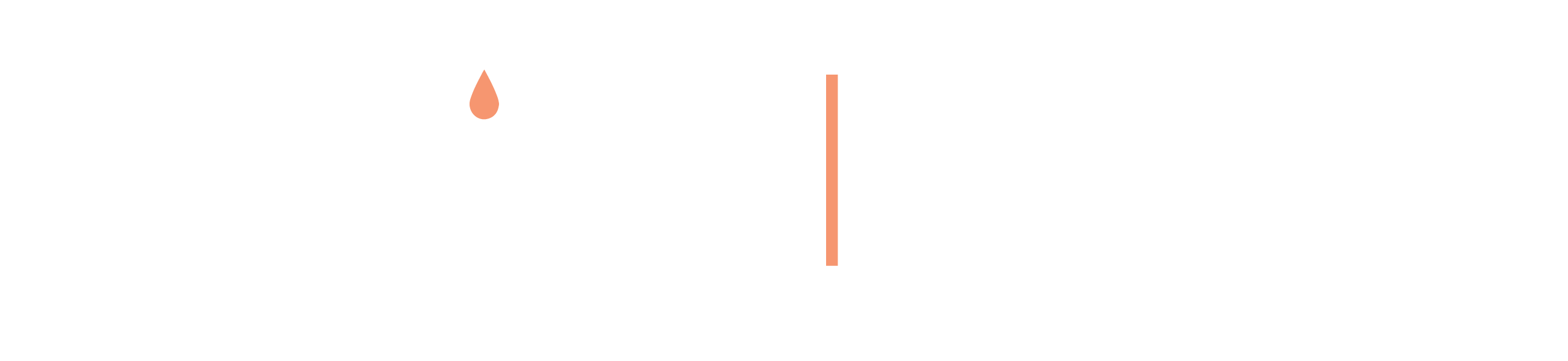 Citylight Logo